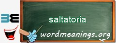 WordMeaning blackboard for saltatoria